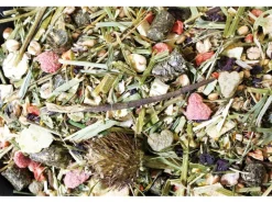 JR Farm Hauptfutter Basic Degu-Schmaus, 1.6 kg