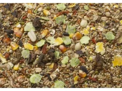 JR Farm Hauptfutter Basic Rennmäuse-Schmaus 600 g