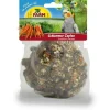 JR Farm Schlemmer-Zapfen für Grosssittiche & Papageien, 195 g