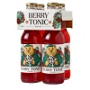 Kandt Berry Tonic 4 x 0.2 l
