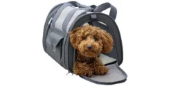 Kerbl Vacation Air 43 x 28 x 28 cm Grau