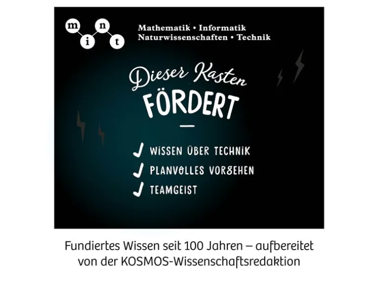 Kosmos Experimentierkasten Boxing Bots