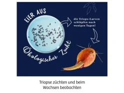 Kosmos Experimentierkasten Fun Science – Triops züchten