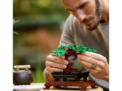 LEGO® Icons Botanicals Bonsai Baum 10281