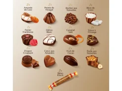 Lindt Schokoladen-Pralinen Connaisseurs assortiert 230 g