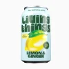 Living Things Soft-Drinks Lemon & Ginger 12 x 0.33 l