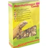 Lucky Reptile Leckerbissen Bearded Dragon Candy 35 g