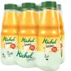 Michel Säfte Sunshine 6 x 0.33 l