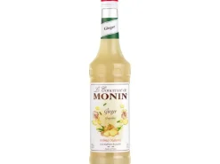 Monin Konzentrat Ginger 0.7 l