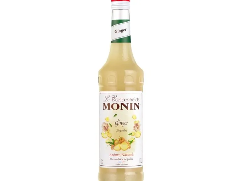 Monin Konzentrat Ginger 0.7 l