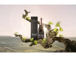 Moët & Chandon Grand Vintage Rosé 2015 0.75 l