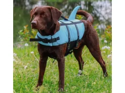 Nobby Schwimmweste Sharki S, 30 cm, Blau