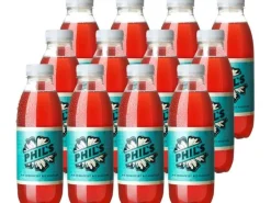 Phil's Bio Früchtetee mit Kräutern 12 Stück x 0.5 l