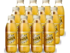 Phil's Bio Grüntee mit Schweizer Apfel und Minze 12 Stück x 0.5 l