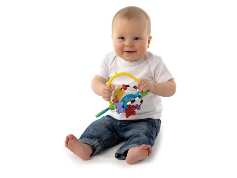 Playgro Beschäftigungsspielzeug Drehrassel mit Saugfuss