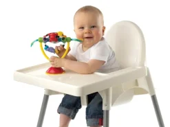 Playgro Beschäftigungsspielzeug Drehrassel mit Saugfuss