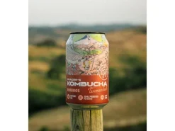 PRAGER’s PRAGER'S Kombucha Roiboos 1 x 0.33 l