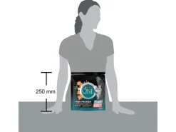 Purina ONE Dry Cat Smn High Protein, Lachs