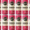 Remedy Wild Berry Kombucha 12 x 0.25 l