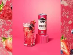 Remedy Wild Berry Kombucha 12 x 0.25 l