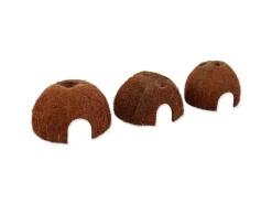 Repti Planet Coco Schale S