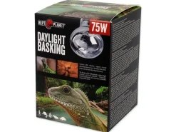 Repti Planet Daylight Basking Spot 75 W