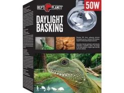 Repti Planet Daylight Basking Spot 50 W
