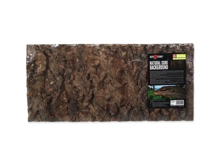 Repti Planet Kork-Rück Wand 48.8 x 22.7 x 2 cm