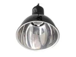 Repti Planet Reflektorlampe Dome Lamp 14 cm, 75 W