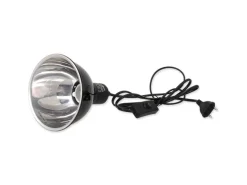 Repti Planet Reflektorlampe Dome Lamp 14 cm, 75 W