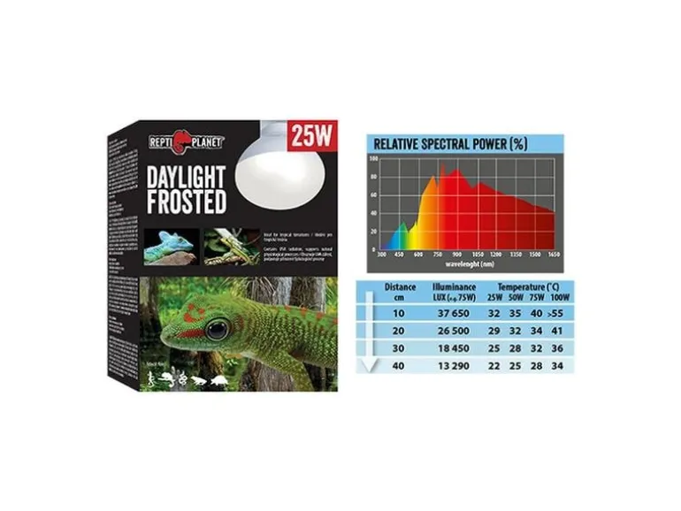 Repti Planet Terrarienlampe Daylight Frosted 75 W