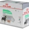 Royal Canin Nassfutter Care Nutrition Digestive Mousse, 12 x 85g
