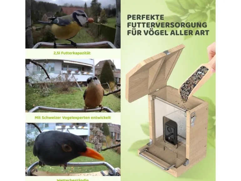 Sanilu Vogelfutterhaus mit Kamera ohne Solarpanel