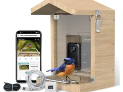 Sanilu Vogelfutterhaus mit Kamera ohne Solarpanel