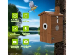 Sanilu Vogel Nistkasten mit Kamera