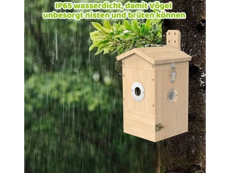 Sanilu Vogel Nistkasten mit Kamera, Solarpanel inklusive
