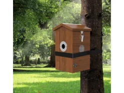 Sanilu Vogel Nistkasten mit Kamera und Solarpanel