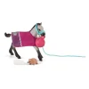 Schleich Spielfigurenset Horse Club Spielspass mit Fohlen