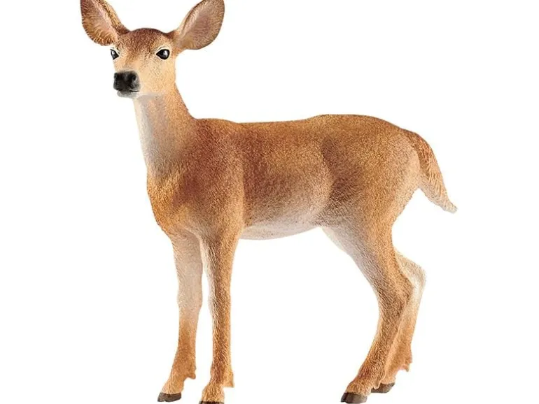 Schleich Spielzeugfigur Wild Life Weisswedelkuh