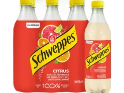 Schweppes Schweppes Citrus 6 x 0.5 l