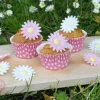 ScrapCooking Zuckerdekore Gänseblümchen 18 Stück