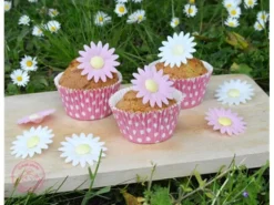 ScrapCooking Zuckerdekore Gänseblümchen 18 Stück