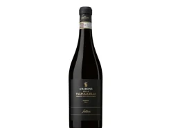 Selezione Fellini Fellini Amarone 0.75 l