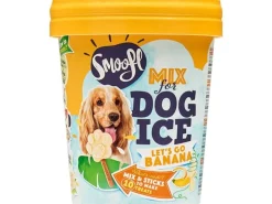 Smoofl Bananeneis 160 g