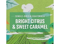 Starbucks Kaffeekapseln Guatemala 10 Stück