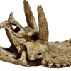 SuperFish Dekoration Schädel Triceratops M