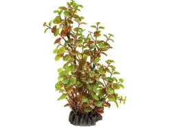 SuperFish Kunstpflanze Rotala, 25 cm