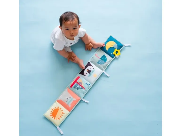 TAF-TOYS Spielbuch Nordpol 0M+