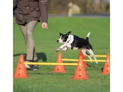 Trixie Agility Hürde Activity Hindernis Set S
