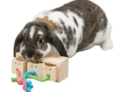Trixie Spielzeug Snack Würfel, 15 x 5.5 x 6 cm